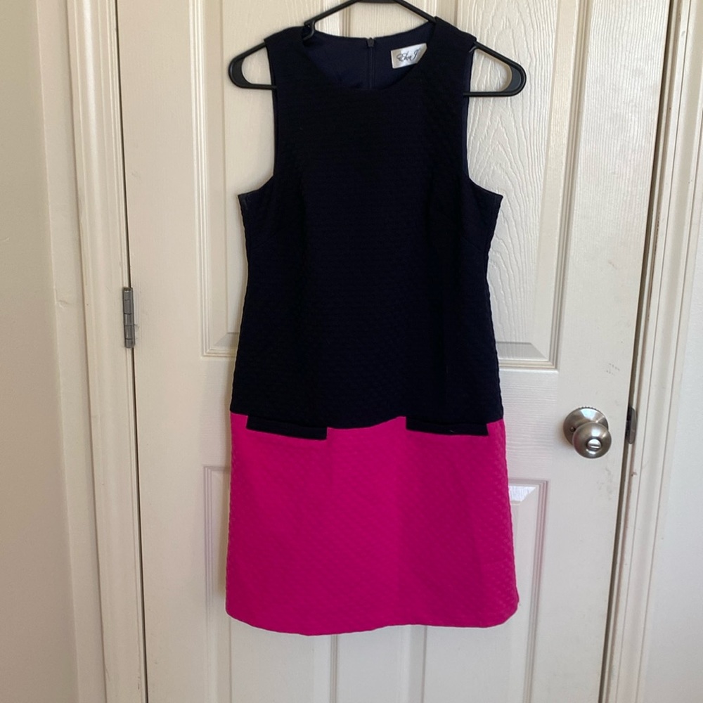 Navy/Pink Dress